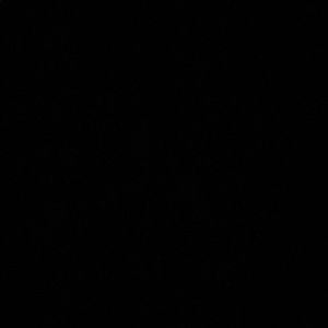 Meet your Posher, Maxwell